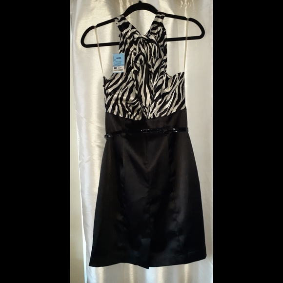 Zebra Print Dress - Picture 2 of 7